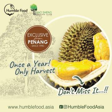 Bio-dynamic Frozen Durian From Penang Baosheng Farm 4 Trays/set 活力冷凍榴蓮