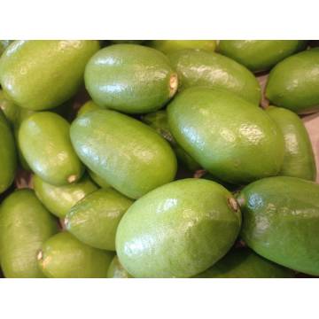 Taiwan Organic Perfume Lemon台湾有機香水檸檬 +-600g