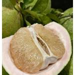 Fruits