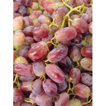 Australia BD Grapes CRIMSON SEEDLESS 750g