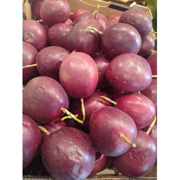 Taiwan Organic Passionfruit (Traditional) 台湾有機百香果(傳統)  +-500g
