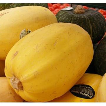 Australia Spaghetti Squash ±1.7kg