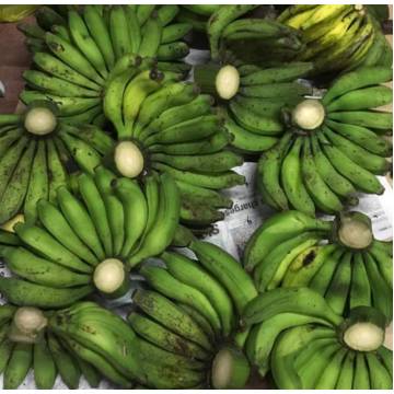 Organic Banana 有機香蕉±990g