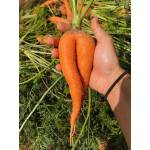 Vegetables