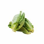 Vegetables