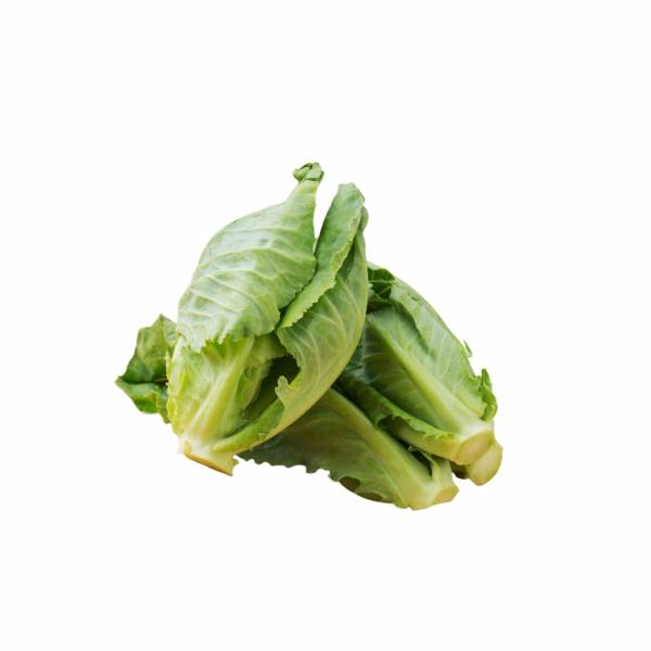 Vegetables