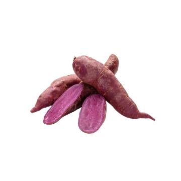 Bio-dynamic Grown Purple Sweet Potato (Purple Skin with Purple flesh) 活力农耕紫番薯 ±750g