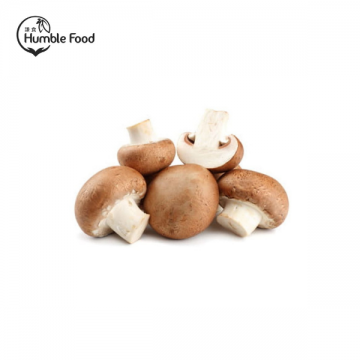 Australia Organic Mushroom Swiss Brown 有機棕蘑菇 180g