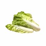 Vegetables