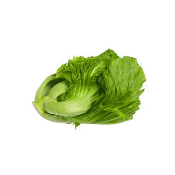 Bio-dynamic Grown Mustard Cabbage 活力有機芥菜 ±500g