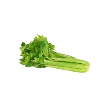 Australia Organic Celery 澳洲有機芹菜 (1 bunch)
