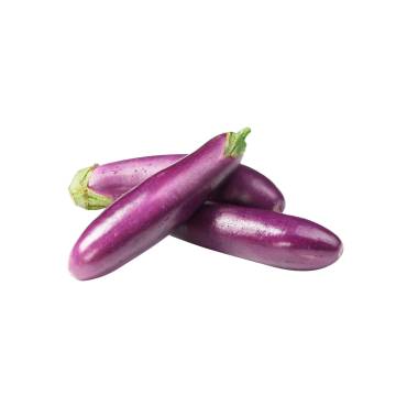 Organic Eggplant 有機茄子 ±450g