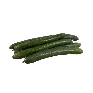 Bio-dynamic Grown Japanese Cucumber 活力農耕有機日本黃瓜 ±500g