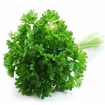 Organic Parsley 有機香菜 50g