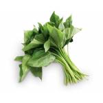 Vegetables