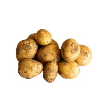 Australia Bio-dynamic Potato Nicola 澳洲活力有機馬鈴薯 ±1kg (Salvage the Ugly, Buy 1kg Free 1kg)