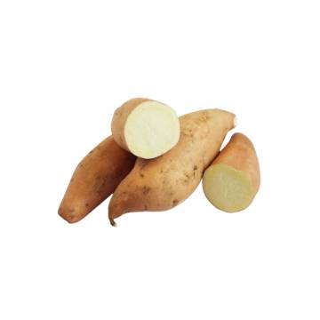 Bio-dynamic Yellow Sweet Potato (White Skin with yellow flesh) 活力有機黄金番薯 ±900g