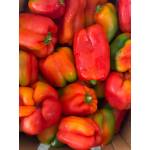 Vegetables