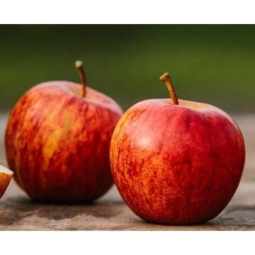 Australia Biodynamic Jonathan Apple 澳洲活力有機紅蘋果 ±550g