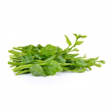 Bio-dynamic Grown  Ceylon Spinach 活力有機皇帝苗  ±250g