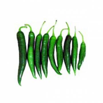 Bio-dynamically Grown Green Chilli