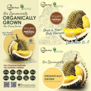 Bio-dynamic Frozen Durian From Penang Baosheng Farm 4 Trays/set 活力冷凍榴蓮 (1set)