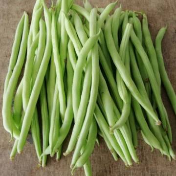 Bio-dynamic Grown French Bean 活力農耕有機四季豆  250g
