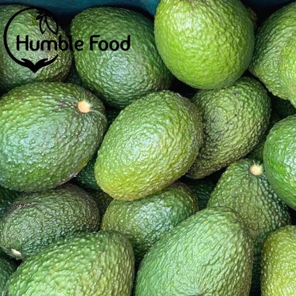 Fruits