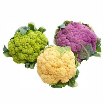 Australia Organic Mixed Coloured Cauliflower Untrim 活力農耕有機混合颜色菜花  (Per piece) (Photo for Illustration Only)