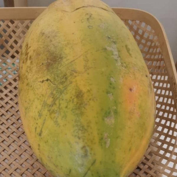 Fruits