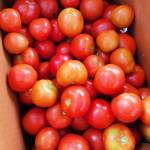 Vegetables