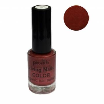Provida Organics Nail Polish Dark Rouge 06